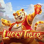 Lucky Tiger PP